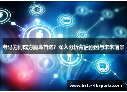 老马为何成为魔鸟首选？深入分析背后原因与未来前景