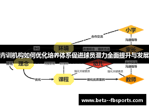 青训机构如何优化培养体系促进球员潜力全面提升与发展